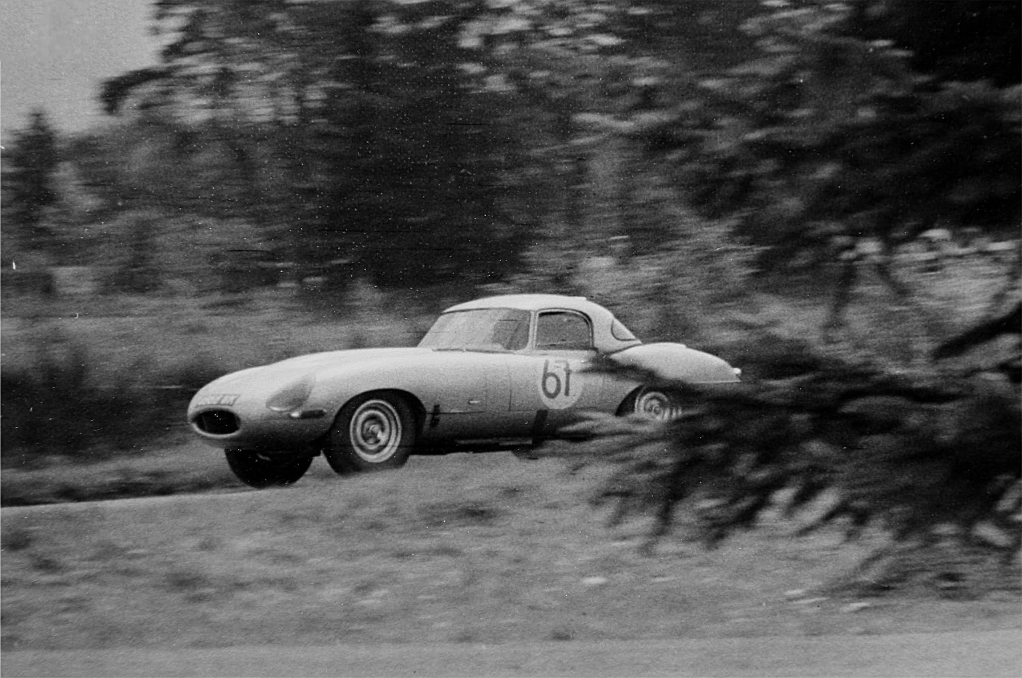 A black-and-white photograph of a Lightweight E-Type with a hardtop and the number 67 racing past trees, a blurred branch in the foreground. Opens a larger view