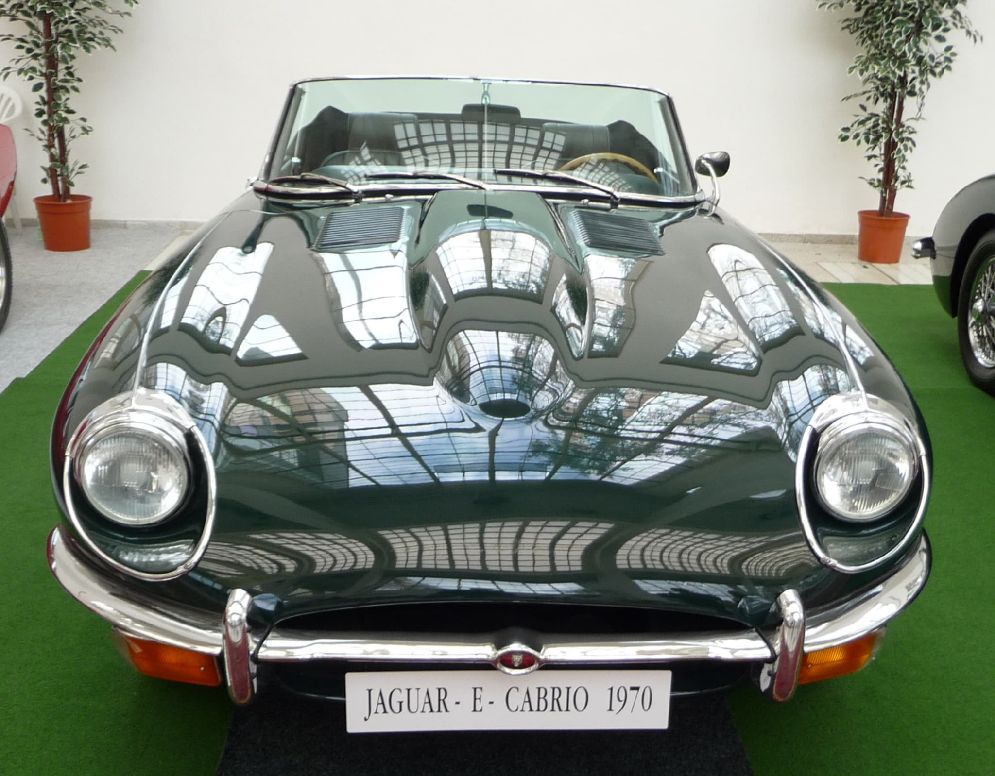 A dark green E-Type roadster seen head-on, with open headlamps, a large oval intake and the indicators below the bumper.