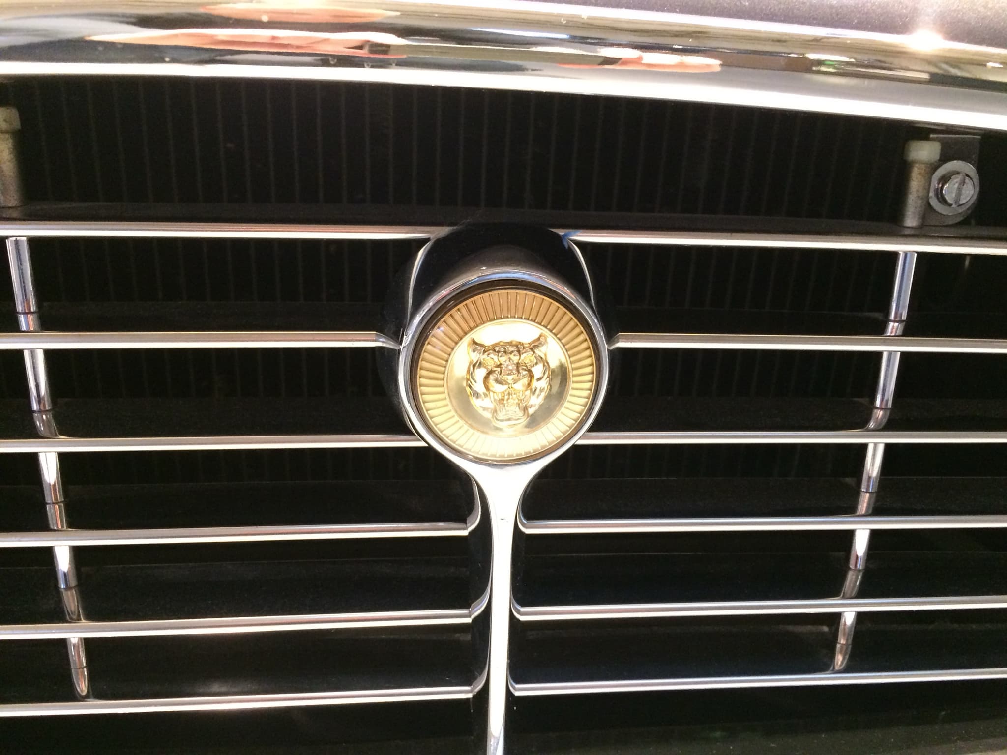 Close view of an E-Type's chrome cross-hatched grille and its gold growler badge. Opens a larger view