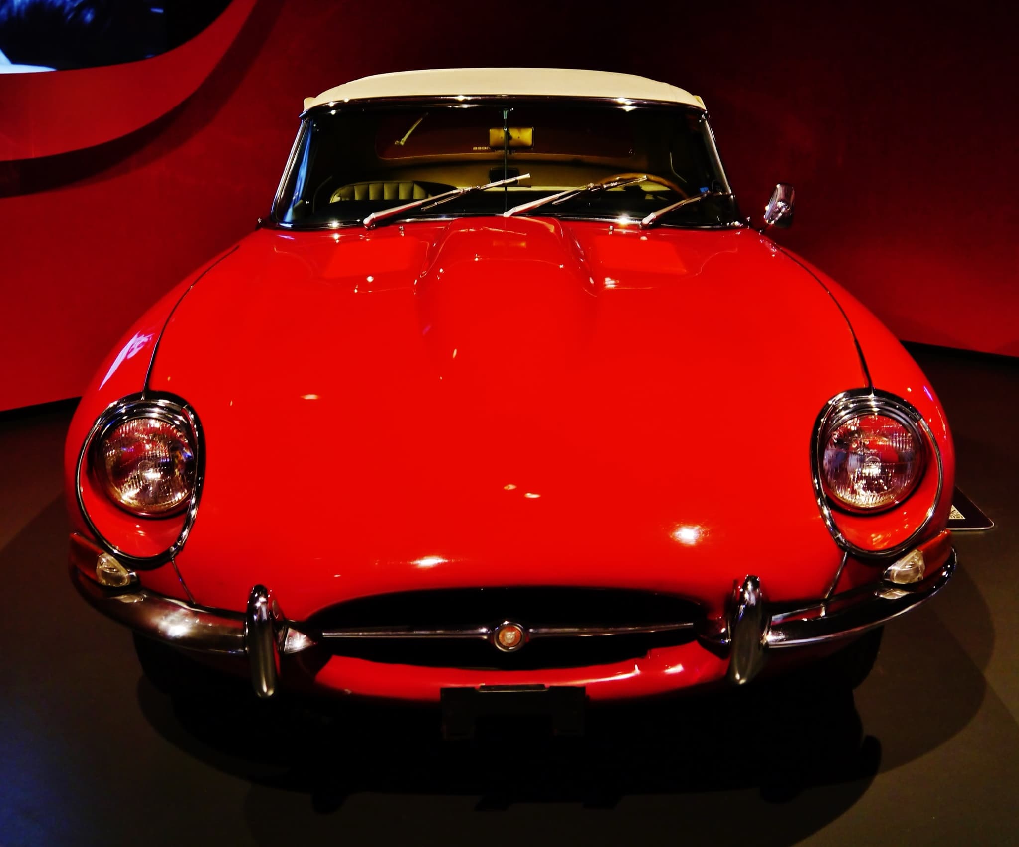 A red E-Type roadster with a white hood seen head-on under red museum lighting, its headlamps without covers. Opens a larger view