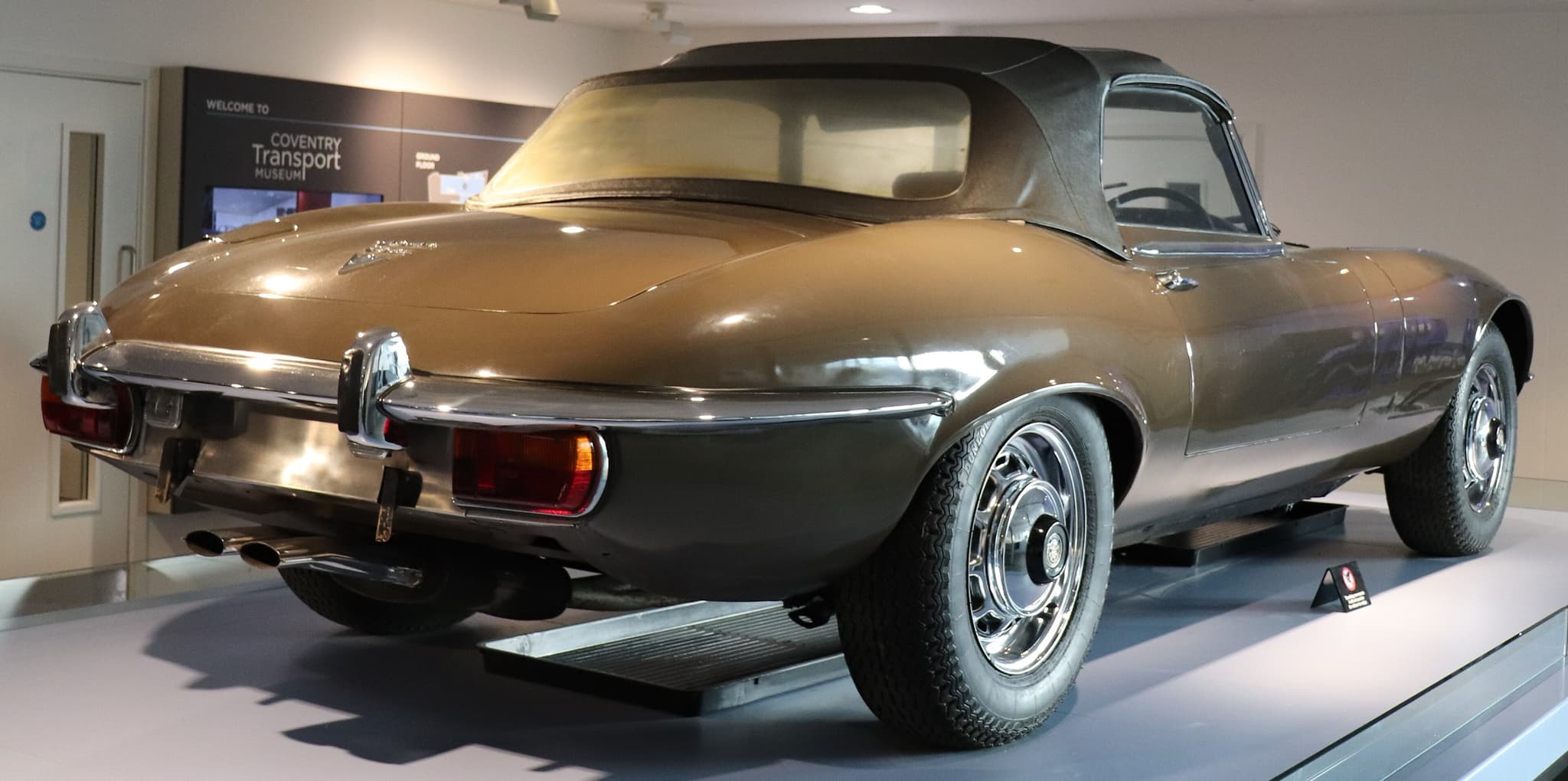 The tail of a bronze-green E-Type roadster on a museum plinth, with large tail lamps and four exhaust pipes.