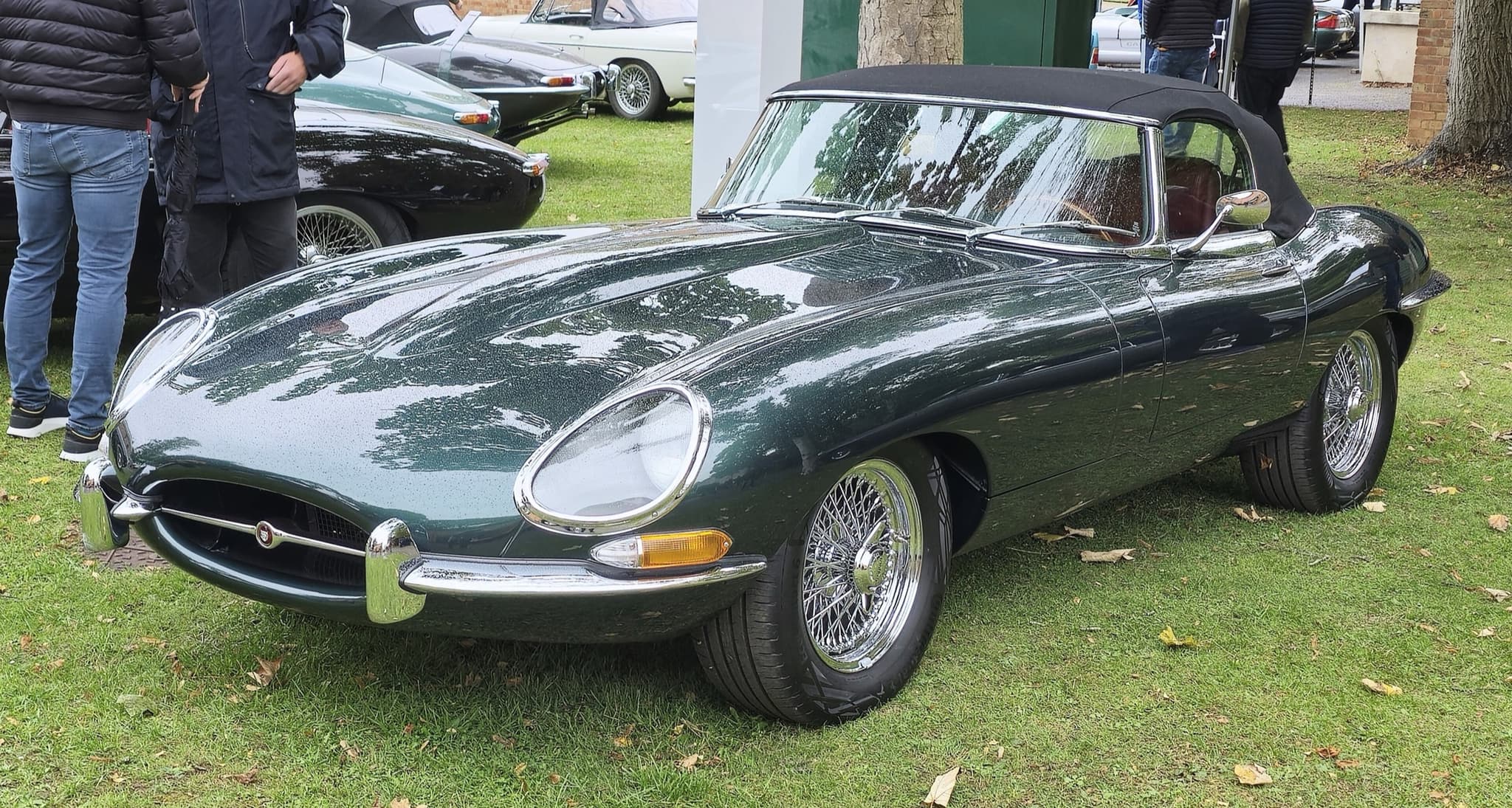 A dark green E-Type roadster with its black hood up and polished wire wheels on wet grass.